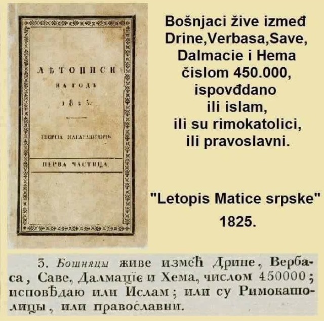 bosanski jezik